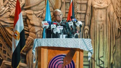 حسين الزناتي